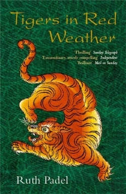 Bertrand.pt - Tigers In Red Weather