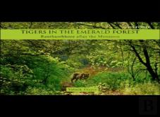 Tigers In The Emerald Forest