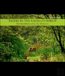 Bertrand.pt - Tigers In The Emerald Forest