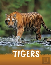 Tigers