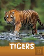 Tigers