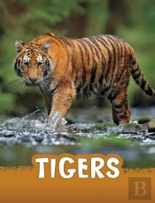 Tigers