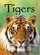 Tigers