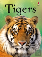 Tigers