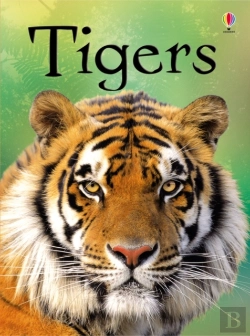 Bertrand.pt - Tigers