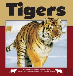 Bertrand.pt - Tigers