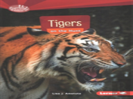 Tigers On The Hunt