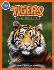 Tigers, Panthera Tigris Ages 2-4