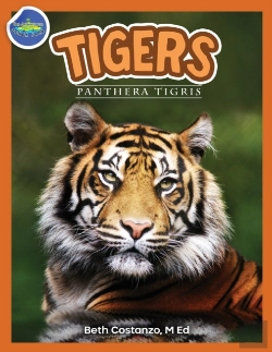 Bertrand.pt - Tigers, Panthera Tigris Ages 2-4