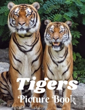 Tigers Picture Book