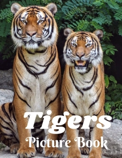 Bertrand.pt - Tigers Picture Book