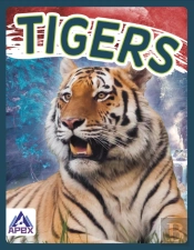 Tigers