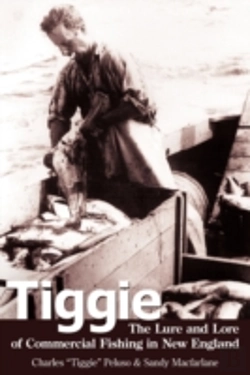Bertrand.pt - Tiggie