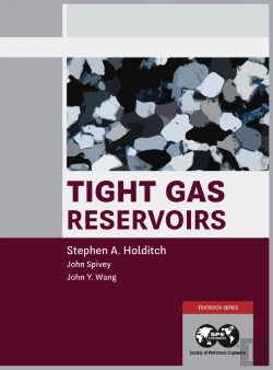 Bertrand.pt - Tight Gas Reservoirs