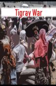 Tigray War