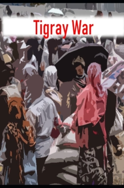 Bertrand.pt - Tigray War