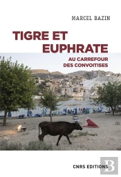 Tigre Et Euphrate