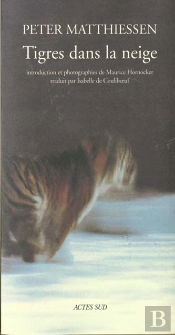 Tigres Dans La Neige