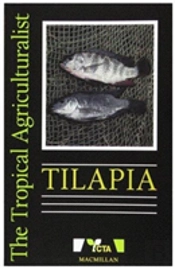 Tilapia