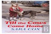 Till The Cows Come Home