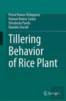 Tillering Behavior Of Rice Plant