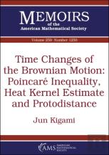Time Changes Of The Brownian Motion: Poincare Inequality, Heat Kernel Estimate And Protodistance