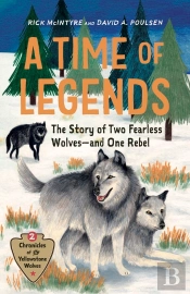 Time Of Legends