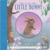 Time To Go Home Little Bunny
