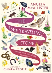 Time Travelling Stone