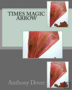 Bertrand.pt - Times Magic Arrow