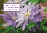 Tin Box Of 20 Gift Cards And Envelopes: Clematis