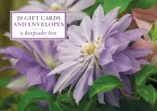 Tin Box Of 20 Gift Cards And Envelopes: Clematis