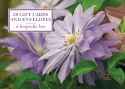 Bertrand.pt - Tin Box Of 20 Gift Cards And Envelopes: Clematis