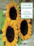 Tin Box Of 20 Gift Cards And Envelopes: Country Flowers In Bloom