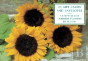 Tin Box Of 20 Gift Cards And Envelopes: Country Flowers In Bloom