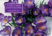 Tin Box Of 20 Gift Cards And Envelopes: Crocus