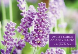 Bertrand.pt - Tin Box Of 20 Gift Cards And Envelopes: Lavender