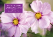 Tin Box Of 20 Notecards And Envelopes: Pink Cosmos