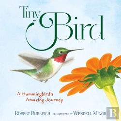 Bertrand.pt - Tiny Bird