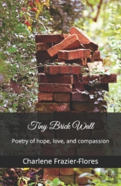 Tiny Brick Wall