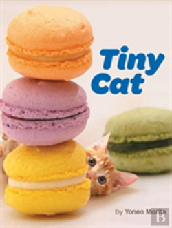 Bertrand.pt - Tiny Cat