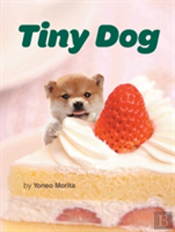 Bertrand.pt - Tiny Dog