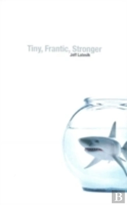 Bertrand.pt - Tiny, Frantic, Stronger