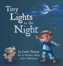 Bertrand.pt - Tiny Lights In The Night