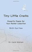 Tiny Little Cracks