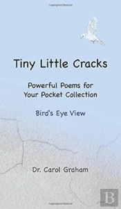 Tiny Little Cracks
