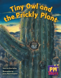 Bertrand.pt - Tiny Owl And Prickly Plant