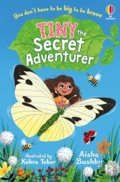 Tiny, The Secret Adventurer