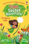 Tiny The Secret Adventurer: The Mystery Visitor