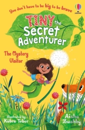 Tiny The Secret Adventurer: The Mystery Visitor